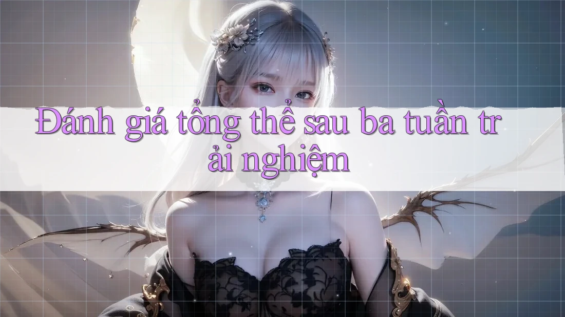 Đánh giá tổng thể sau ba tuần trải nghiệm Đánh giá tổng thể sau ba tuần trải nghiệm