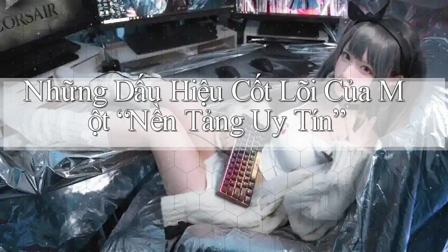 Những Dấu Hiệu Cốt Lõi Của Một “Nền Tảng Uy Tín”