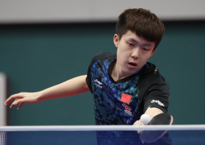 导作用的新 导作用的新